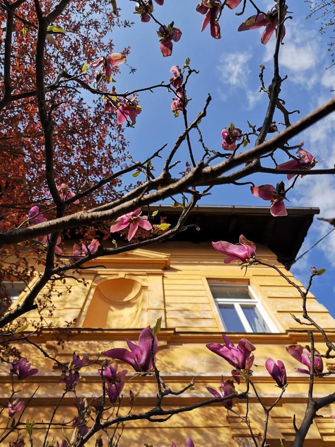 Vila Veselova, Ljubljana City Center Hostel Kültér fotó